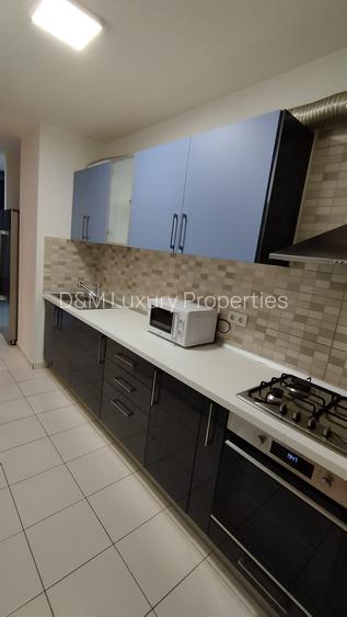 Inchiriere 2 camere Aparatorii Patriei Monaco Towers - 13