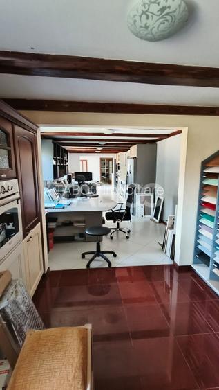 Platforma industriala cu cladiri de vanzare in Salistea de Alba - 8