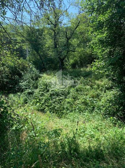Teren in zona turistica Porumbacu de Sus, 4600 mp - 6