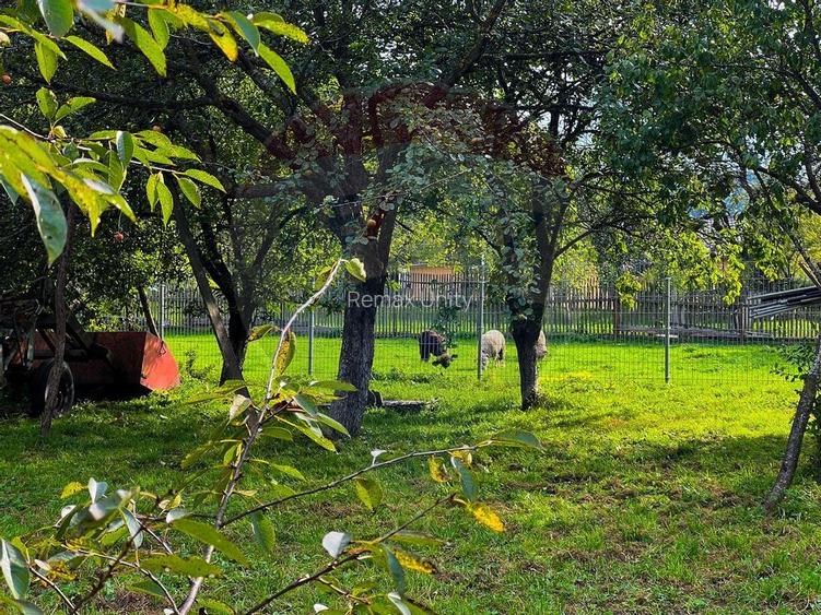 Casa cu potential turistic si rezidential in Moieciu de Jos, BRAN - 8