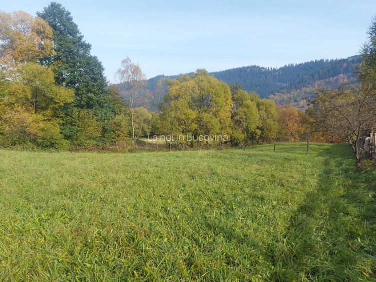 Spre vanzare teren 3662 mp in Campulung Moldovenesc - 9