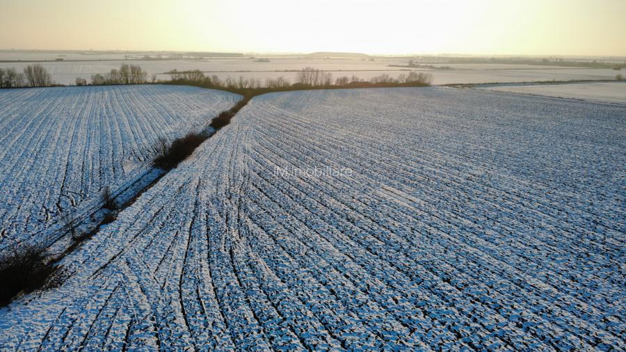 Calea Sagului-INCONTRO- teren potential industrial- 17800mp - 9