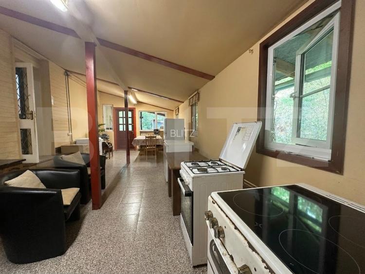 Gospodărie cu 10.900 mp teren, 3 constructii, Cainelu de Sus