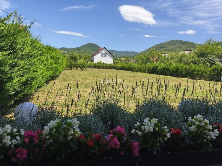 Casă modernă, luminoasă și spațioasă in Seini (MM) - 6