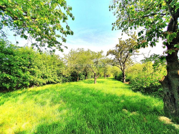 Teren Extravilan 3200 mp - Oportunitate în Tropinii Vechi - 3