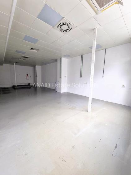 Spatiu industrial Dristor - Kaufland Mihai Bravu - 7