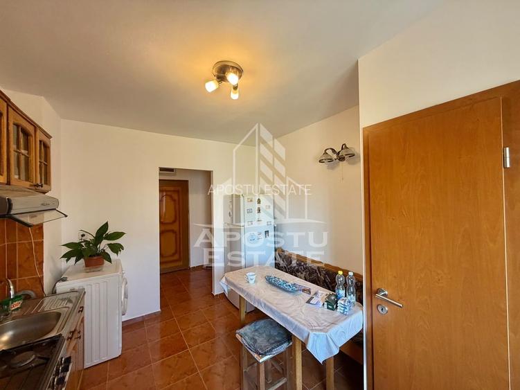 Apartament cu 2 camere de inchiriat,petfriendly,Iulius Mall, Timisoara - 8
