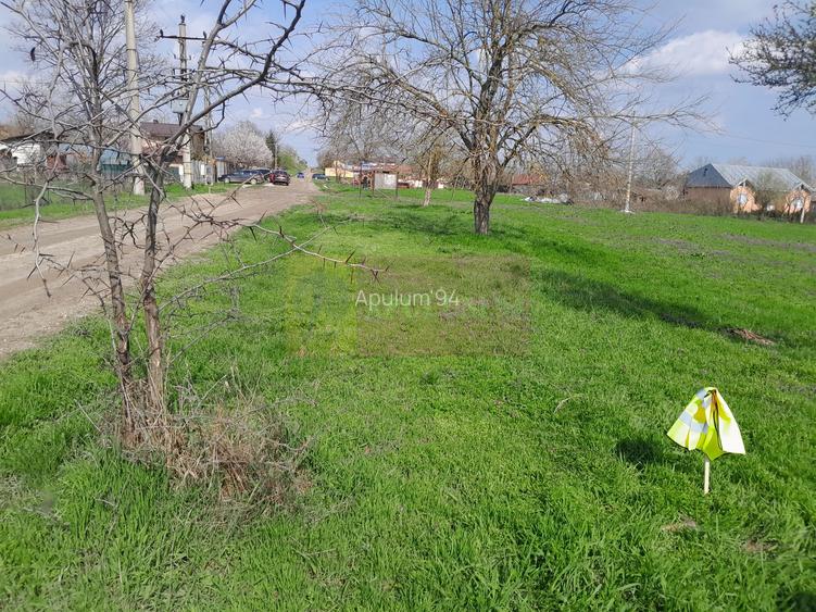 DE VANZARE TEREN 3400 MP IN SAT PODU ILFOVAT / COM BUTURUGENI (GR) - 31