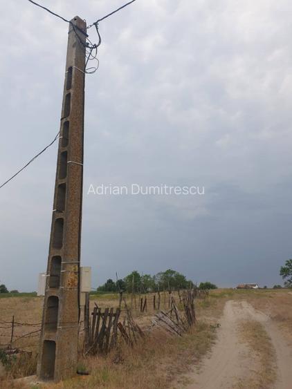 Teren intravilan in Delta Dunarii, C.A. Rosetti - Cardon - 4