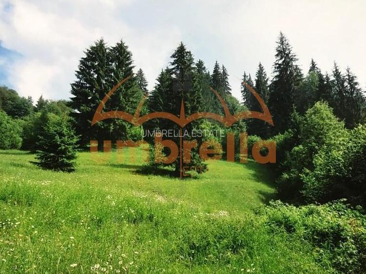 TEREN DE VANZARE 34.201m²/20€ m² IN VARSAG HARGHITA - 14