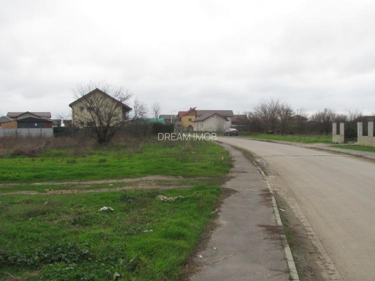 Cornetu - Crizantemelor, Stradal - 7