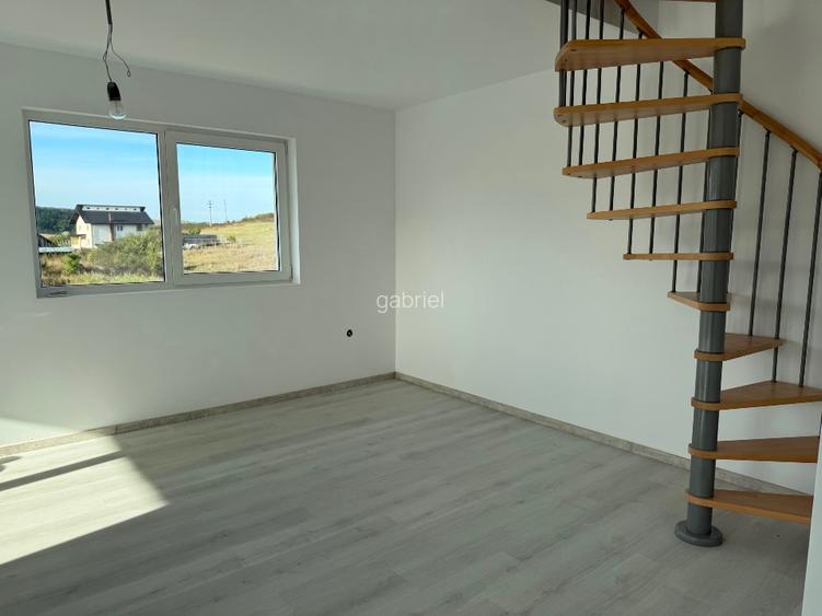 Proprietar-Casa în sat Dumbrava, Comuna Ciurea, Jud Iași, str. DJ 248D, nr. 385. - 6