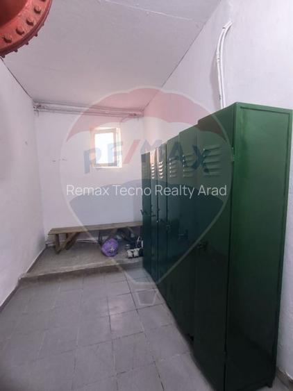 Spatiu industrial de 435mp de inchiriat in zona Sannicolau Mic - 9