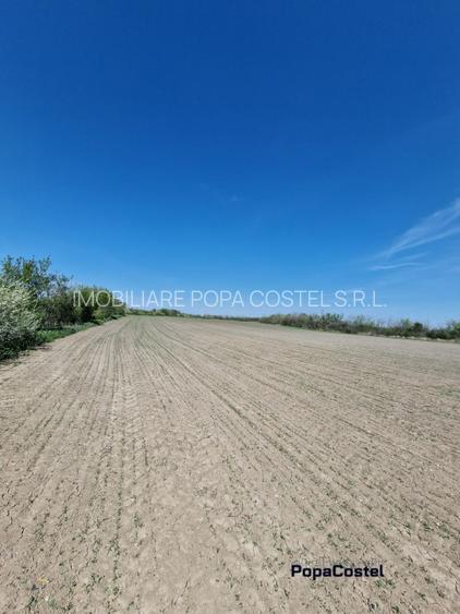 Peris langa raul Ialomita teren 10250 mp intravilan deschidere 46 ml - 2