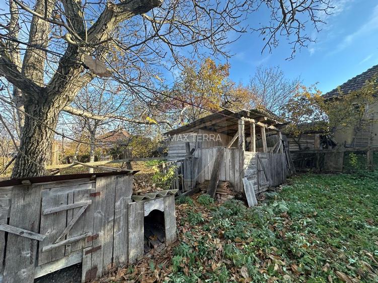 GOSPODARIE - liniste - natura - DE VANZARE - 9