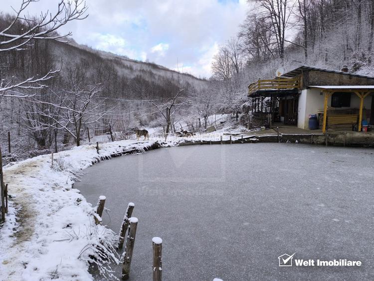 Casa de vacanta, cu lac, 5640 mp teren, Huta, com. Chiuiesti, jud. Cluj - 38