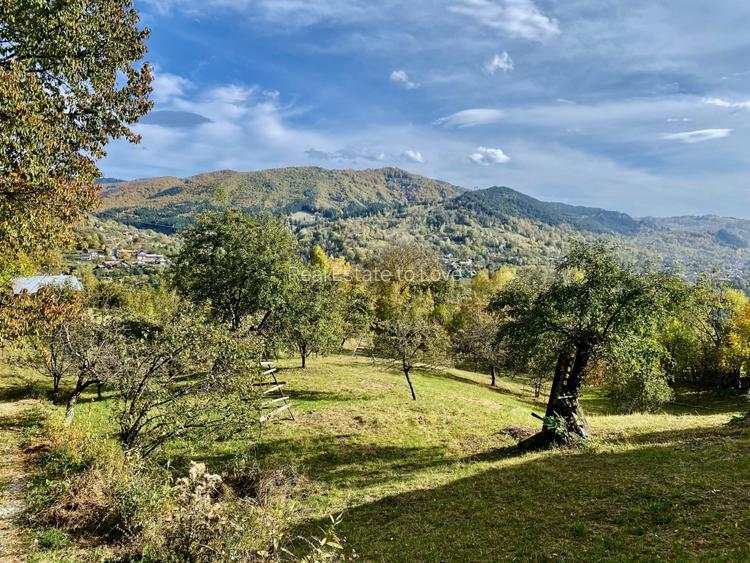 Teren retras panoramic cu panta lina, utilitati si copaci mari - 3