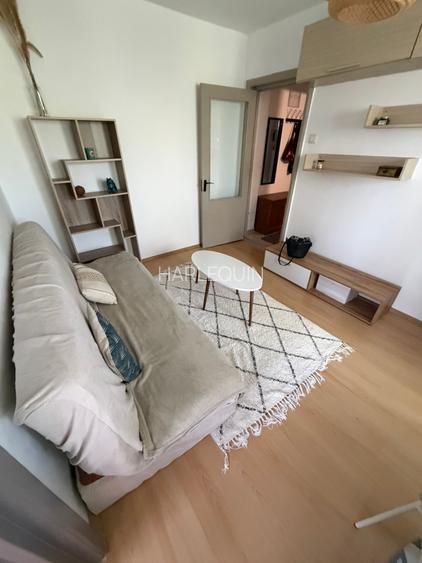 apartament cochet - 4