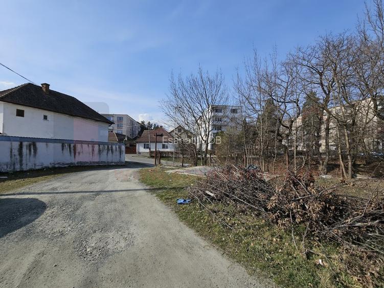 Ocazie: Teren + Hale + Casa, Centrul Cisnadiei, 6313 mp. |VIDEO - 3