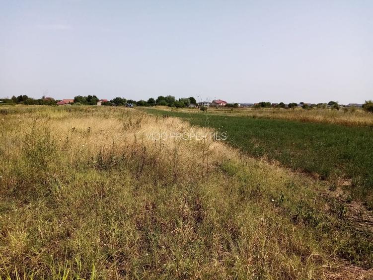 TEREN CONSTRUCTII-CORBEANCA-TAMASI-PRET IMBATABIL-LANGA PADURE-POZITIE BUNA - 4