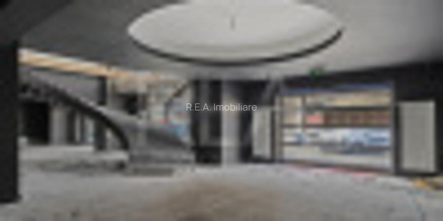 Inchiriere Spatiu Comercial - Sos. Pantelimon 1085 mp - 12