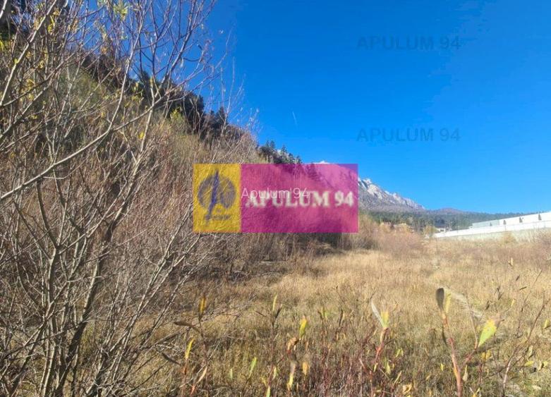 Teren intravilan de vânzare în Bușteni - Zona centrala - 7