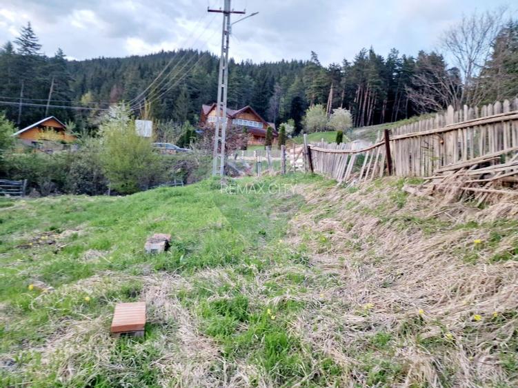 Teren cu vedere la Muntele Ceahlau - 21