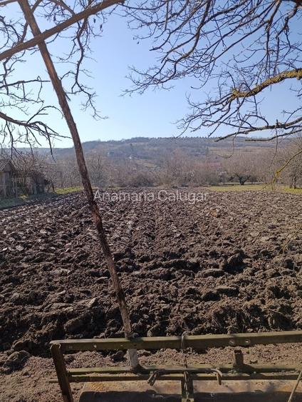 Vand teren intravilan sat Borsa, jud. Cluj, zona linistita - 3