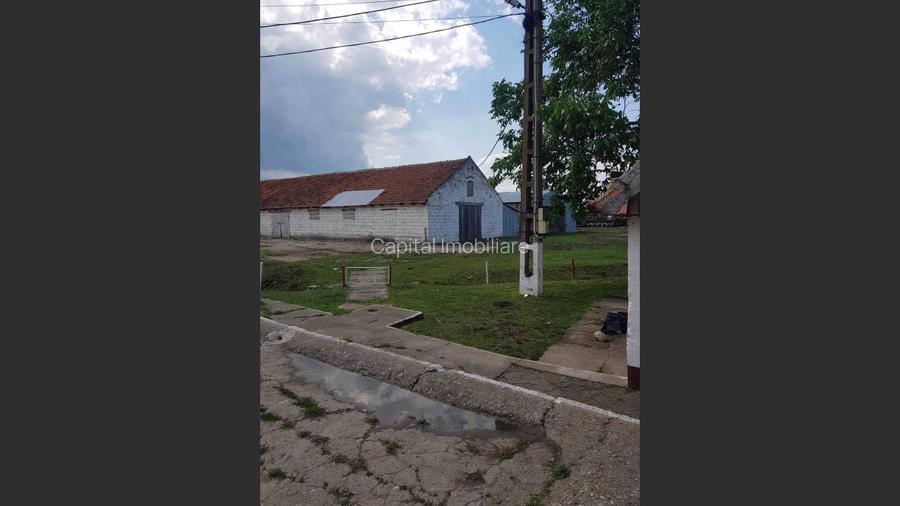 Ferma langa Oravita 5600 mp construiti si teren 24281 intravilan - 3