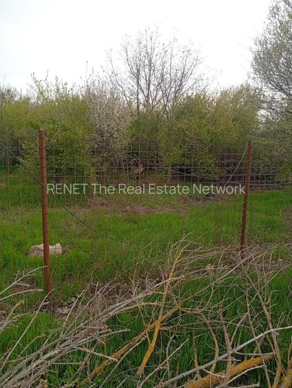 Teren intravilan mixt Buftea – Corbeanca MEGAOCAZIE | 2527 mp | Ideal investiție - 4