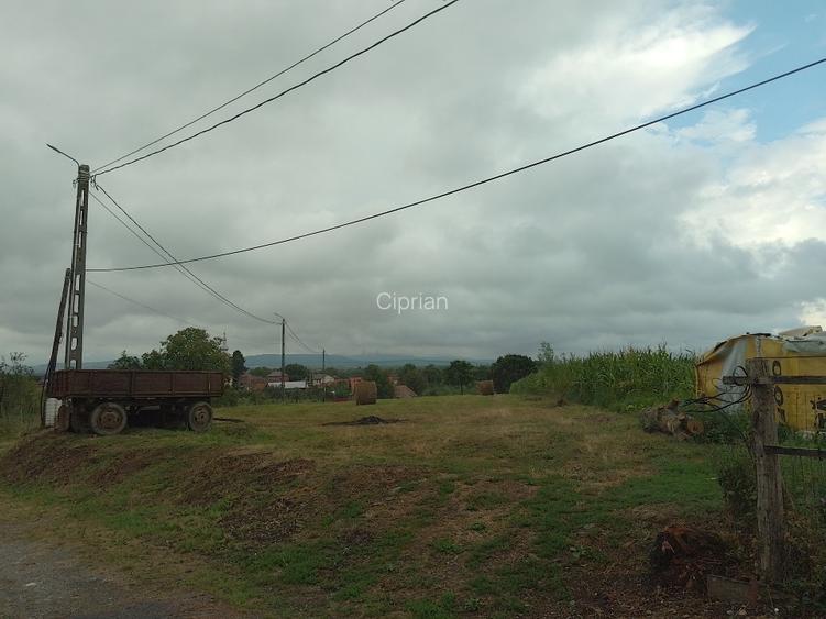 Teren invilan de vanzare - 5