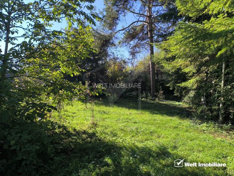 Casa veche, 3 camere, 978 m.p. teren, Grigorescu, locatie de vis  - 4