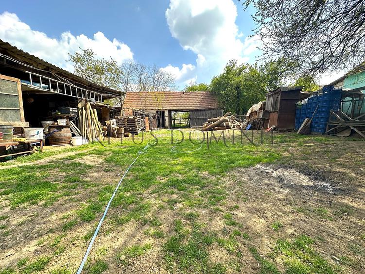 Teren Intravilan de Vânzare, Cetariu, 5450mp - 6