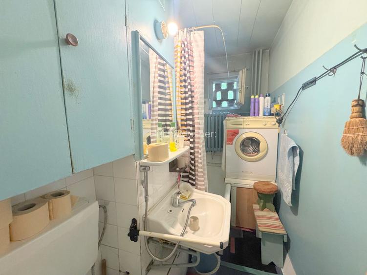 Apartament cu 3 camere la parter-zona Dacia Timisoara - 9