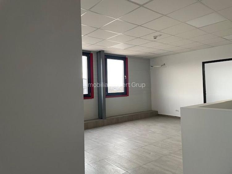 Spatiu depozitare si productie Crevedia - 4