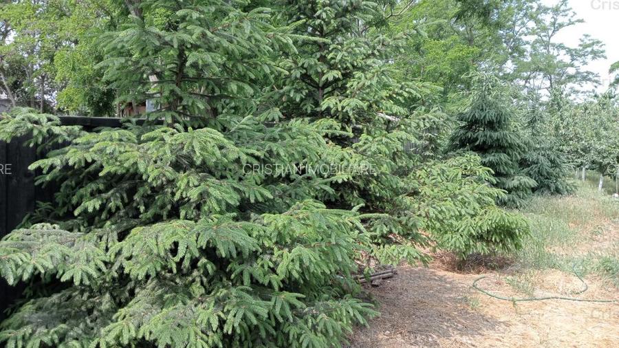 Vila P+M, teren 1222 mp, TOTUL NOU, la 15 Km de Braila - 11