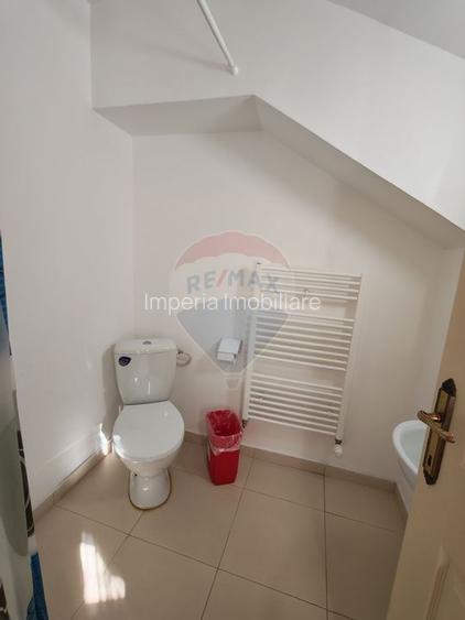 Cabană/Pensiune exclusivistă în Rânca - 21