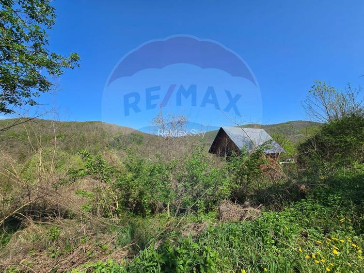 Teren de vis în Stejeriș – utilități, natură, acces rapid! - 9