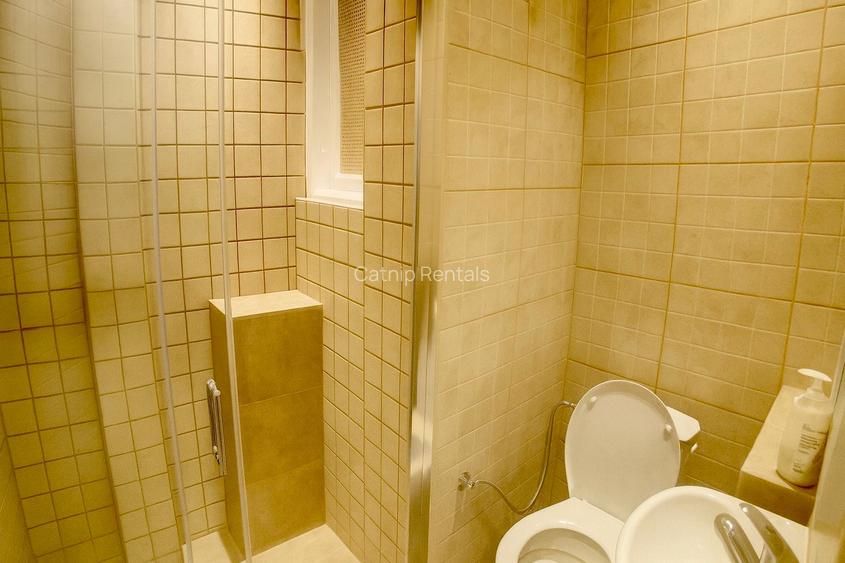 Spacious 3 Bedroom Apartament | Universitate Area - Armeneasca - 11
