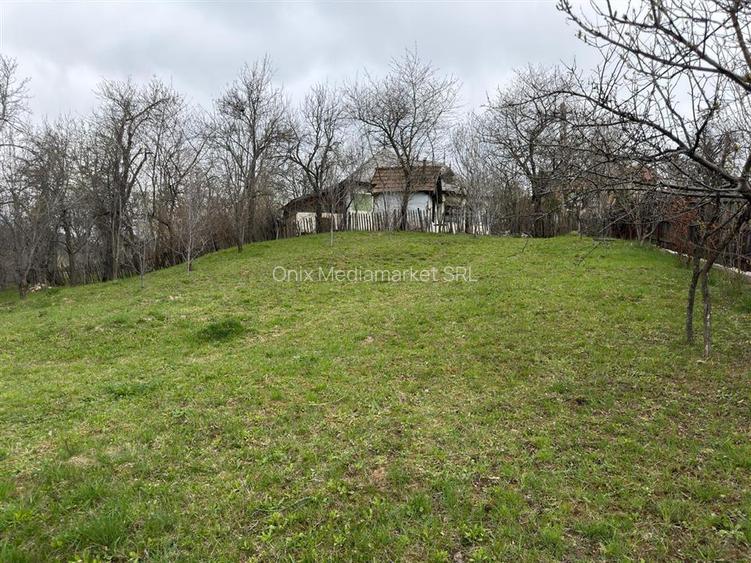 Teren intravilan 1518 mp, constructie, Sotrile, Prahova - 24 EUR/mp - 2