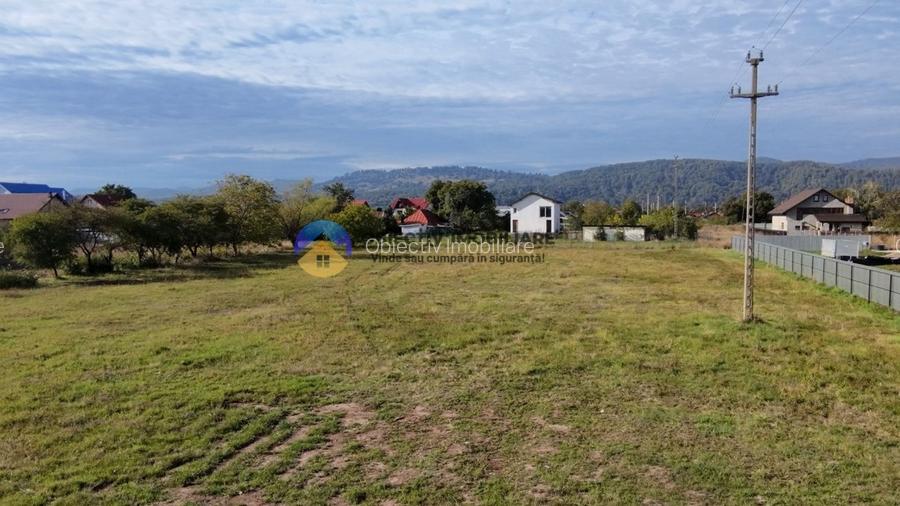 Teren de vanzare 1800 mp – Dumbrava Rosie - 12