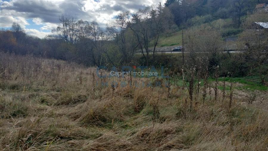 Teren intravilan de vanzare cu Autorizatie de constructie, Feleacu  - 6