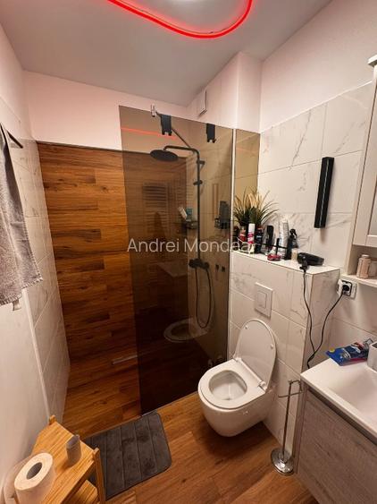 Studio special priveliste lac - 8