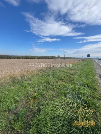 Teren extravilan 2 ha de vanzare in comuna Sacadat - judetul Bihor - 3