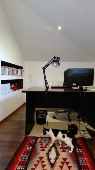 Urgent! Vila 600mp, teren 980 mp, 20km de Bucuresti, super afacere! - 12