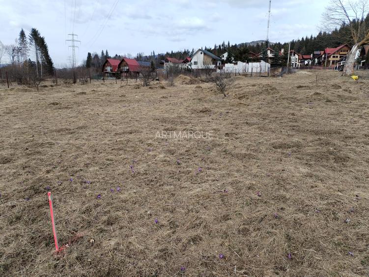 Teren intravilan cartier Cumpatu - 2