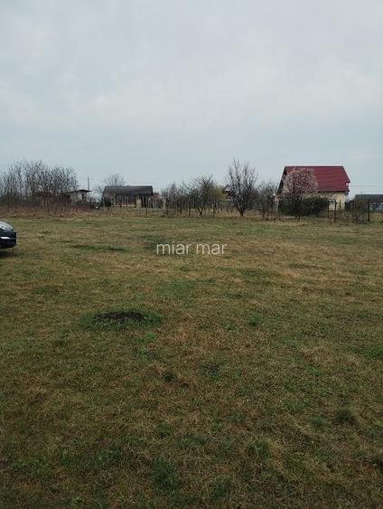 Teren 1500 mp Rediu -Horlesti, Iași  - 5