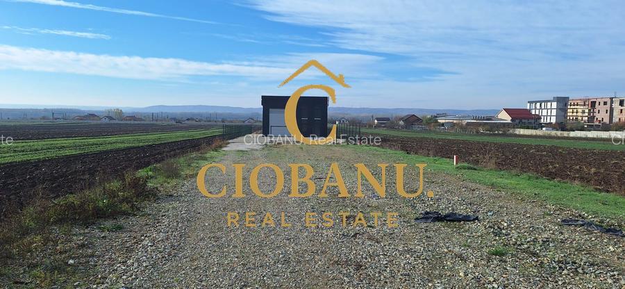 Hala de vanzare in Racari de Jos - 18