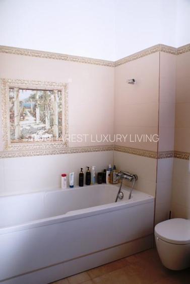 VILA DEOSEBITA EROU IANCU NICOLAE/TEREN 1000 MP(CAMBRIDGE SCHOOL) - 20