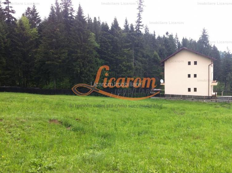 Teren intravilan Cotul Donului,pretabil Hotel/pensiune. - 2